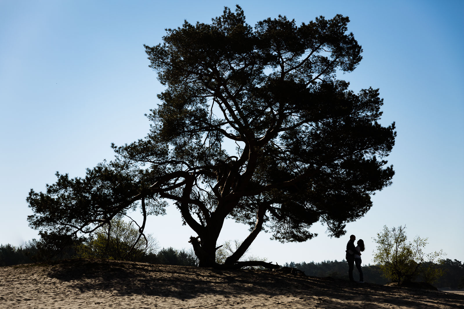 loveshoot Soesterduinen silhouet